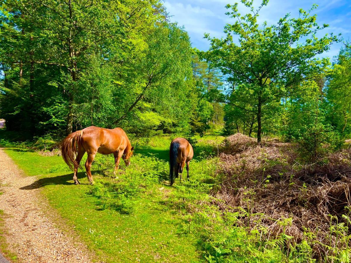 Forest Lodge Sway Bagian luar foto