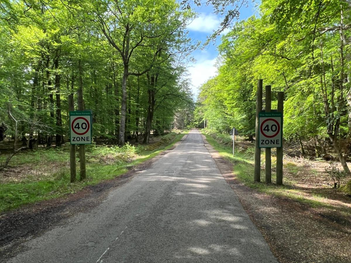 Forest Lodge Sway Bagian luar foto